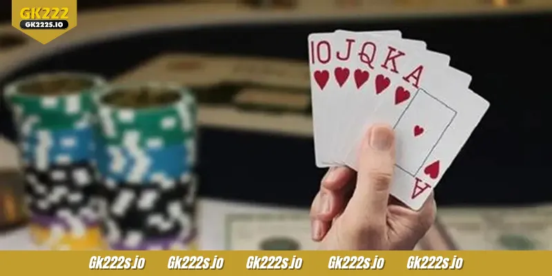Rummy delivers an unforgettable, top-notch experience